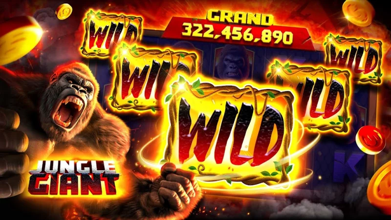 ty le keo malaysia 1gom - game đánh bài bằng tiền thật
