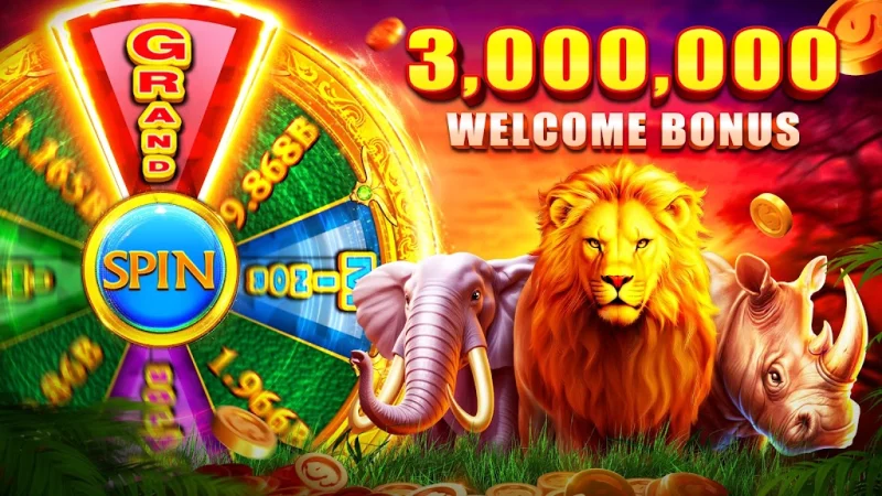 7m có tỷ lệ - cwin999 com